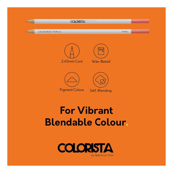 Colorista Floral Sensation Coloured Pencils 12 Pack  image number 4