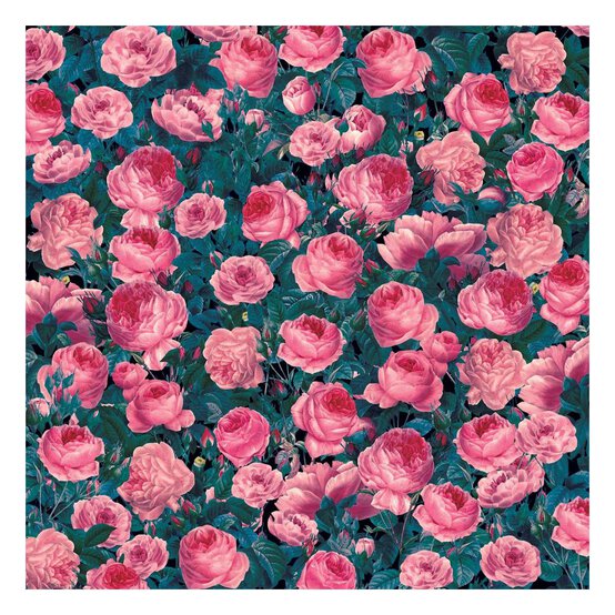 Cricut Infusible Ink Cabbage Rose Transfer Sheets 2 Pack image number 2