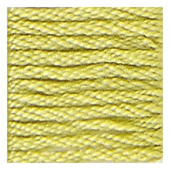 DMC Yellow Mouline Special 25 Cotton Thread 8m (012)