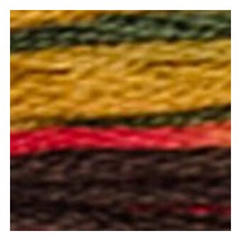 DMC Orange and Green Coloris Mouline Cotton Thread 8m (4511)