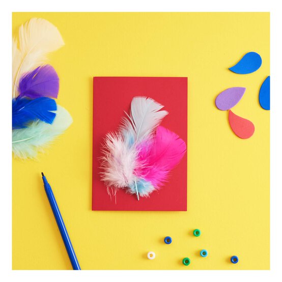 Craft Feathers Bumper Pack 20g