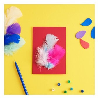 Craft Feathers Bumper Pack 20g image number 2
