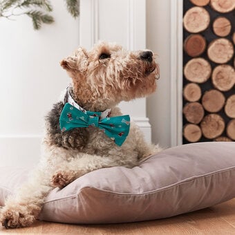 How to Sew a Dog Collar with Removable Bow Tie