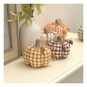 Gingham Pumpkins 5 Pack  image number 2