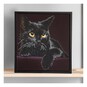 Diamond Dotz Midnight Cat Kit 23cm x 29cm image number 1