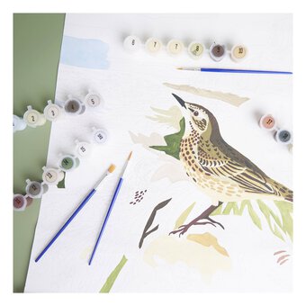 Natural History Museum Rock Pipets Paint by Numbers Wall Hanging Kit