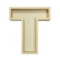 Wooden Fillable Letter T 22cm image number 2