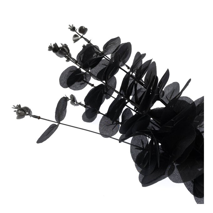 Black Eucalyptus Stem 46cm image number 4