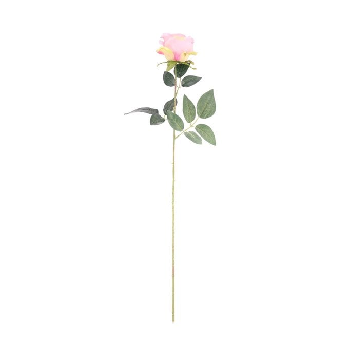 Dusky Pink Arundel Rose 70cm x 10cm image number 1