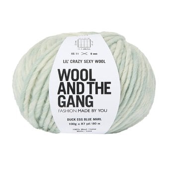 Wool and the Gang Duck Egg Blue Lil&rsquo; Crazy Sexy Wool Marl 100g