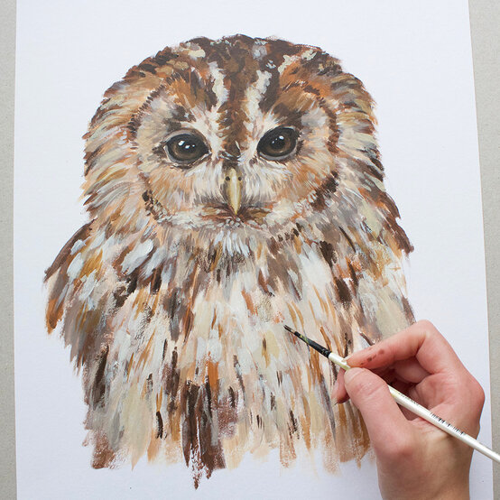 How to Paint an Owl with Acrylics image number 1