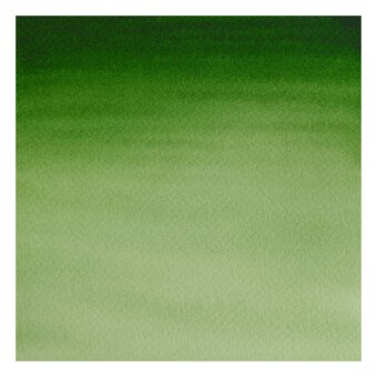 Winsor & Newton Cotman Hookers Green Light Watercolour Tube 8ml (314)