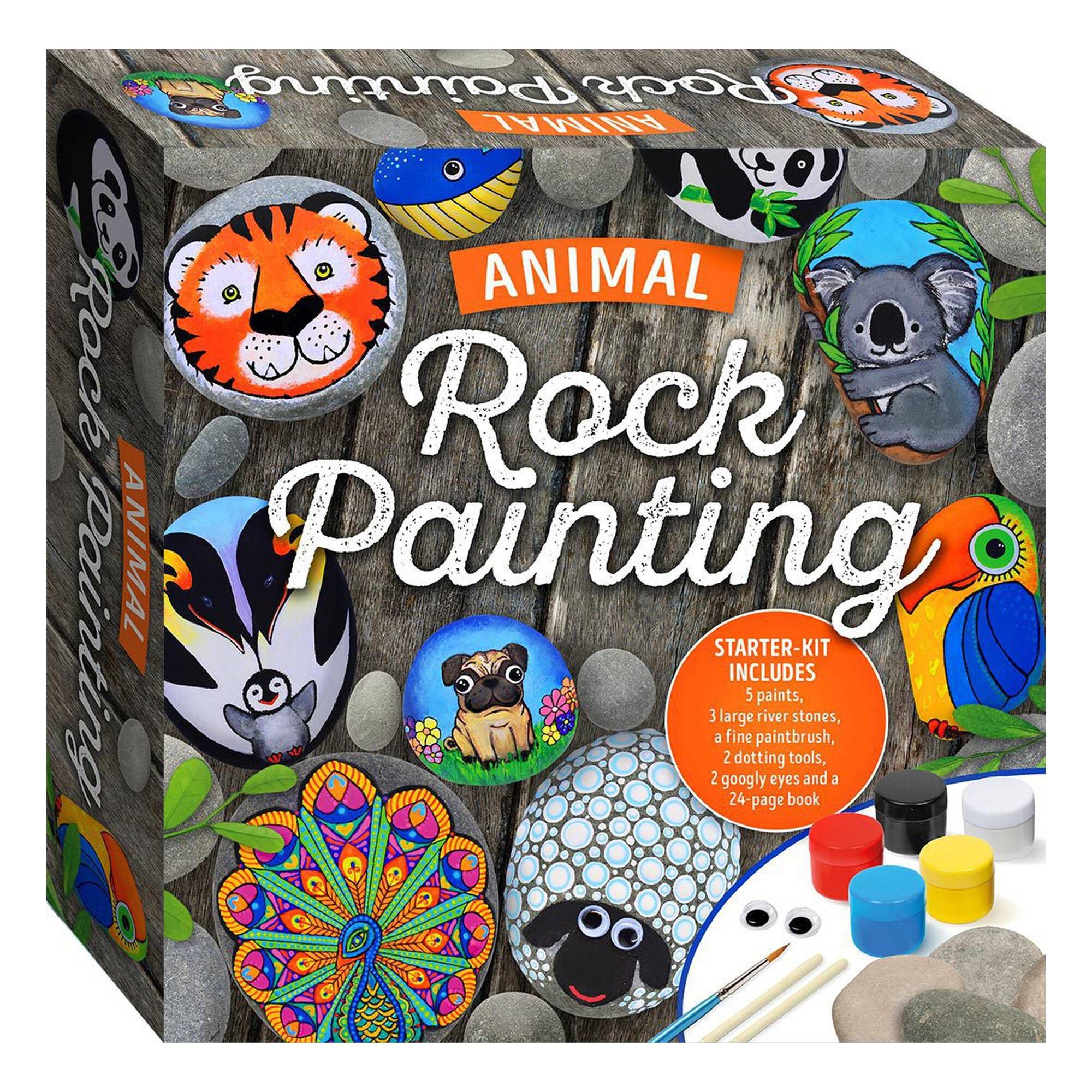 Animal Rock Painting Hobbycraft