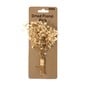 Natural Gypsophila Dried Floral Pick 13cm  image number 4
