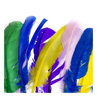 American Feathers 15 Pack image number 3