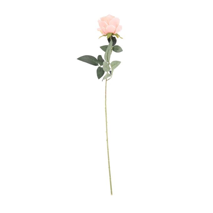Peach Arundel Rose 70cm image number 1