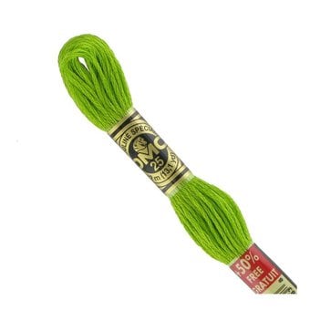DMC Green Mouline Special 25 Cotton Thread 8m (907)