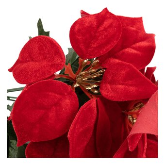 Red Poinsettia Bunch 30cm
