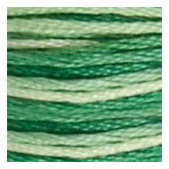 DMC Green Mouline Special 25 Cotton Thread 8m (125)