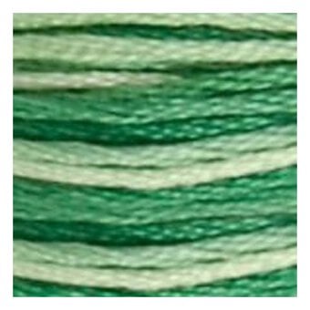 DMC Green Mouline Special 25 Cotton Thread 8m (125) image number 2