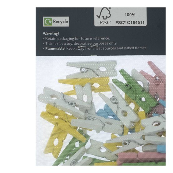 Mini Pastel Wooden Pegs 50 Pack image number 5
