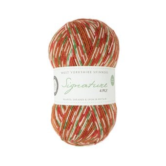 West Yorkshire Spinners Gingerbread Signature 4 Ply Yarn 100g