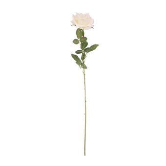 Ivory Arundel Open Rose 76cm x 12cm