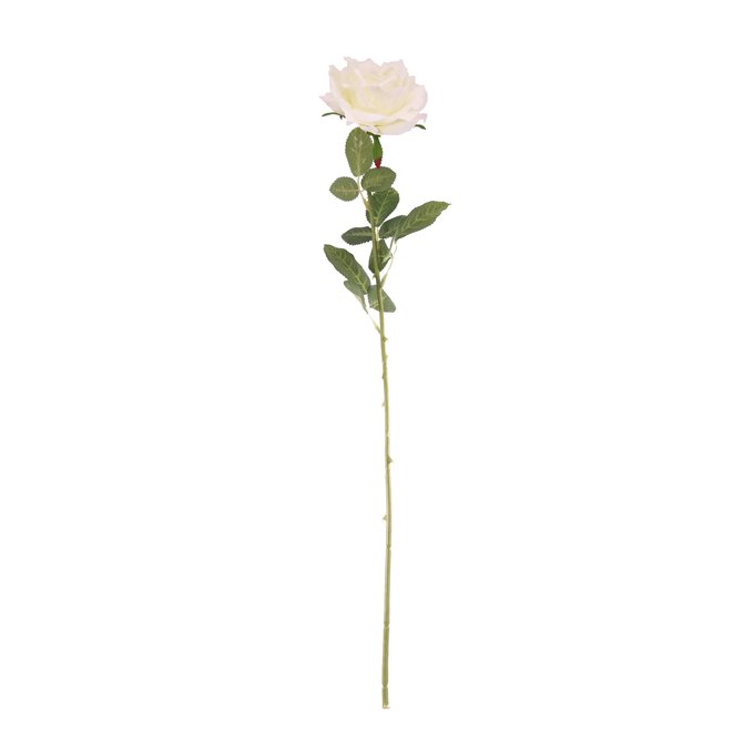 Ivory Arundel Open Rose 76cm x 12cm image number 1