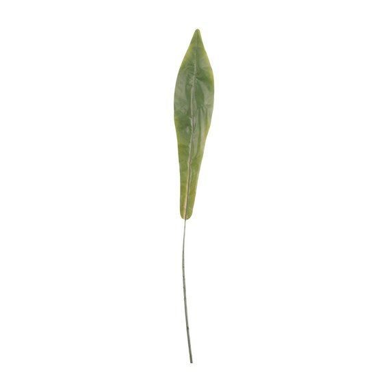 Bird Nest Fern Single Leaf 85cm x 13cm image number 1