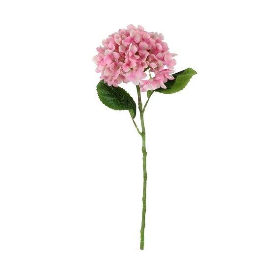 Light Pink Tintagel Hydrangea 58cm x 17cm image number 1