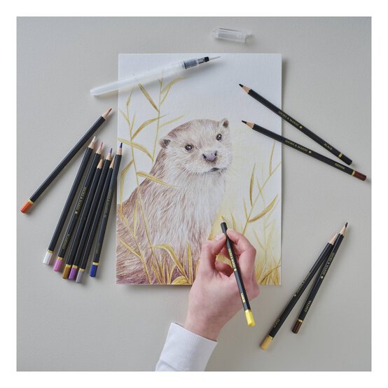 Shore & Marsh Skin Tone Colouring Pencils 12 Pack image number 2