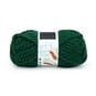 Lion Brand Evergreen Touch of Alpaca Thick & Quick 100g image number 1
