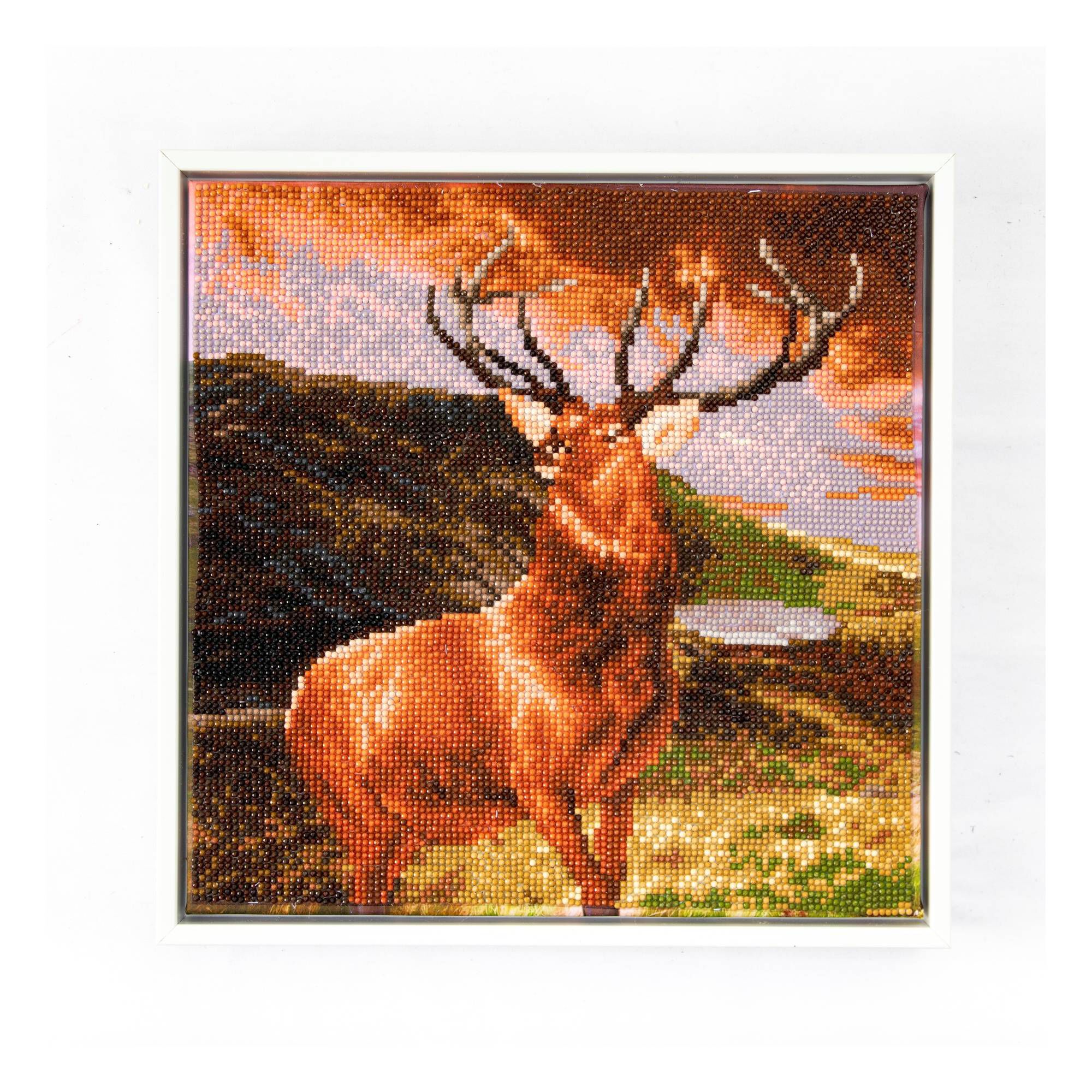 Diamond Dotz Monarch of the Glen Kit 32cm x 32cm Hobbycraft