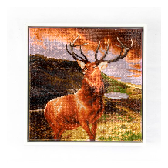 Diamond Dotz Monarch of the Glen Kit 32cm x 32cm image number 3