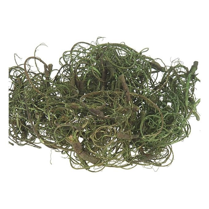 Green Curly Moss 25g
