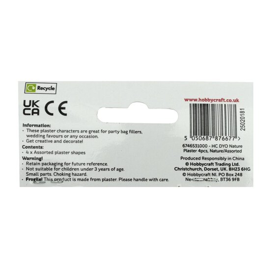 Paint Your Own Nature Plaster Shapes 4 Pack image number 5