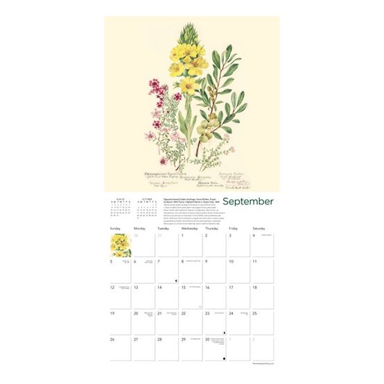 Royal Botanic Garden Edinburgh Wall Calendar 2027 image number 3