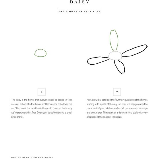 How to Draw Modern Florals image number 4