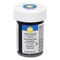 Wilton Royal Blue Icing Colour 28.3g image number 1