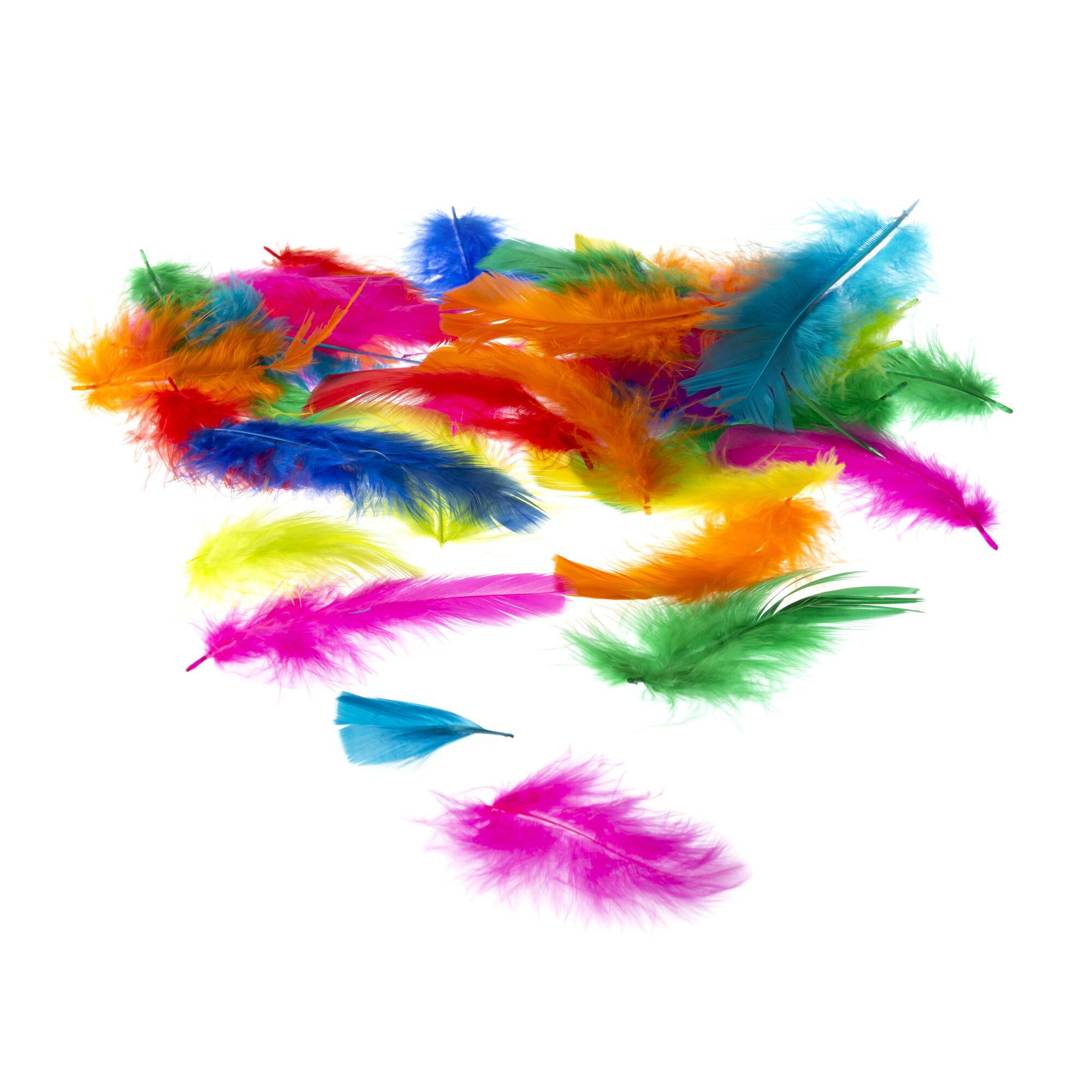 Bright Craft Feathers 5g Hobbycraft