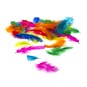 Bright Craft Feathers 5g image number 1