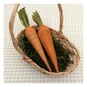 Orange Twine Carrots 2 Pack image number 2