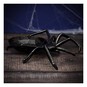 Black Spider Plate 24cm image number 1