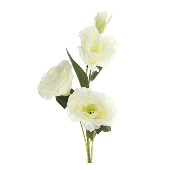 White Lisianthus Stem 70cm image number 1