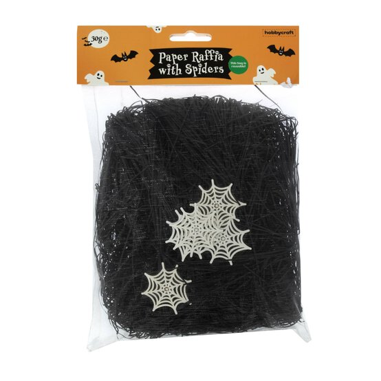 Spider&rsquo;s Web Paper Raffia 30g  image number 4