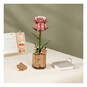 Rowood Pink Rose Wooden Flower Kit image number 4