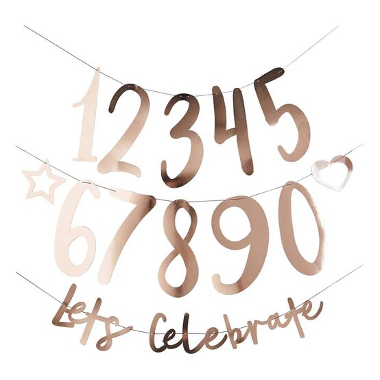 Create Your Own Rose Gold Banner 2m image number 1