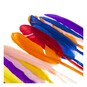 Assorted Quill Feathers 15 Pack image number 3