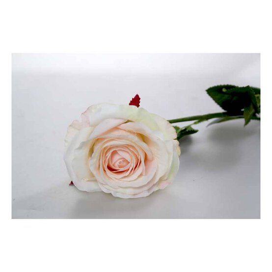 Champagne Camelot Open Rose 74cm x 10cm image number 2