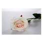Champagne Camelot Open Rose 74cm x 10cm image number 2